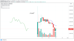 ویتالیک بوترین 1 میلیارد دلار به هند کمک کرد