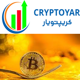 سافت فورک -کریپتویار